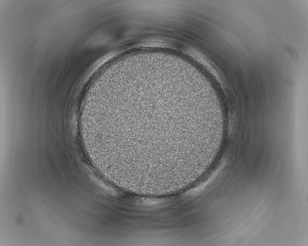 X0000110730829200907241225