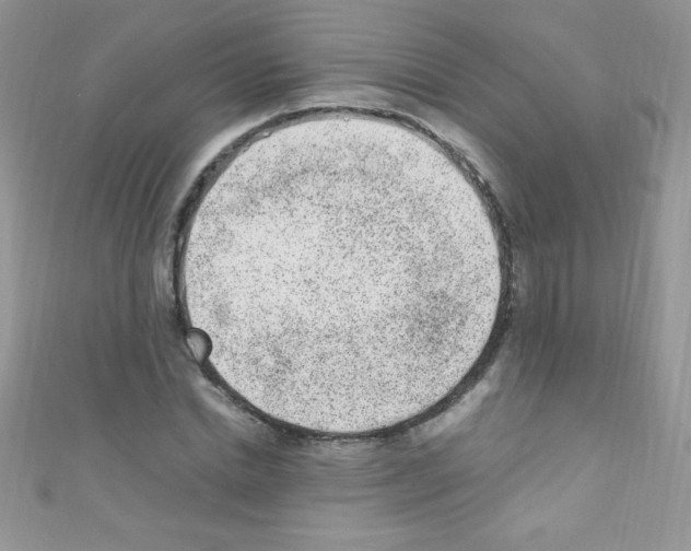 X0000110730830200907241225