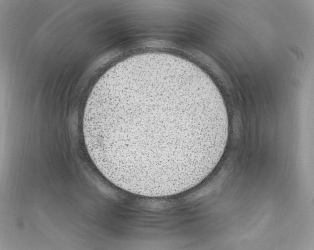 X0000110730831200907241225