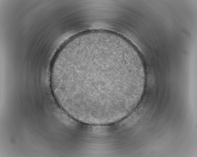 X0000110730832200907241226