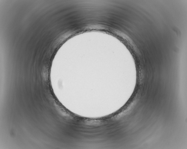 X0000110730833200907241226