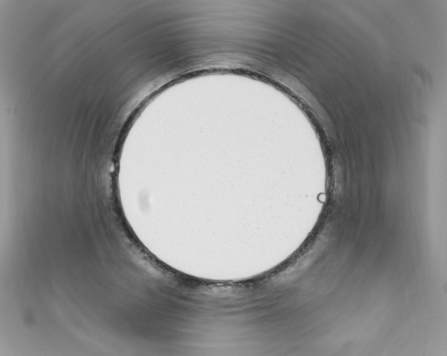 X0000110730834200907241226