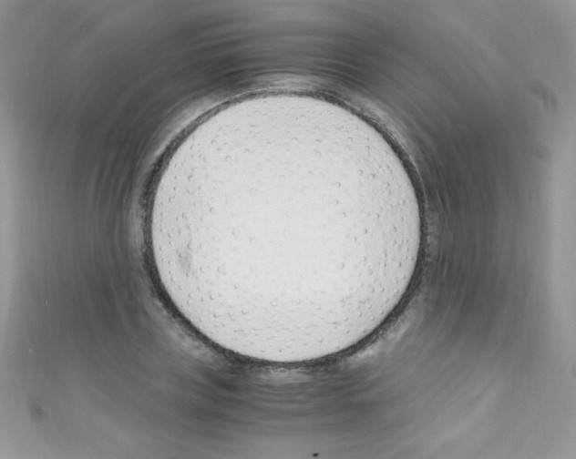 X0000110730835200907241226
