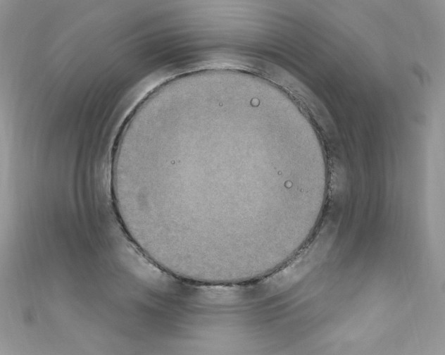X0000110730836200907241226