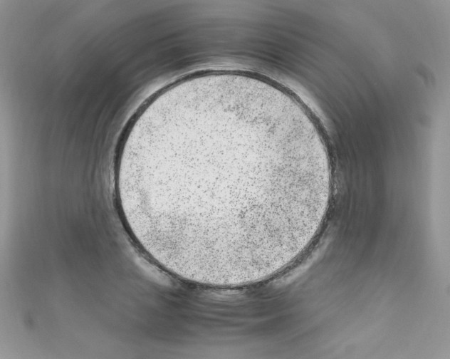 X0000110730837200907241226