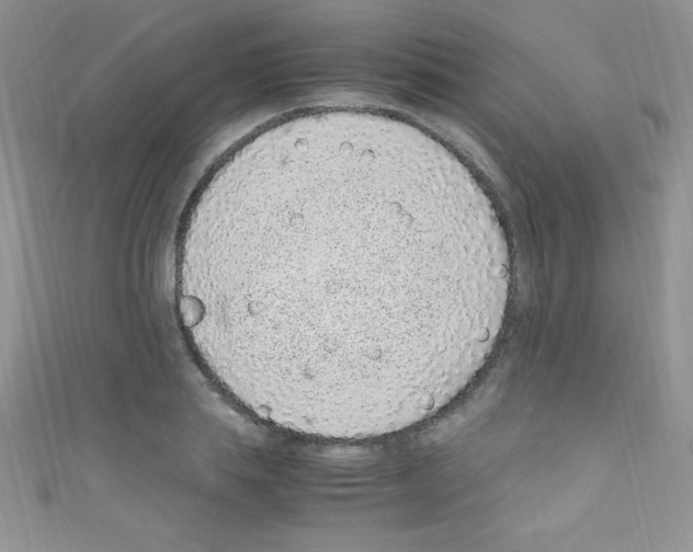 X0000110730839200907241226