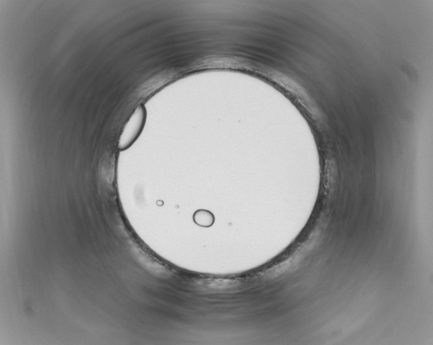 X0000110730841200907241226