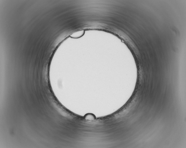 X0000110730842200907241226