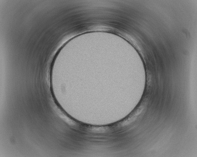 X0000110730843200907241226