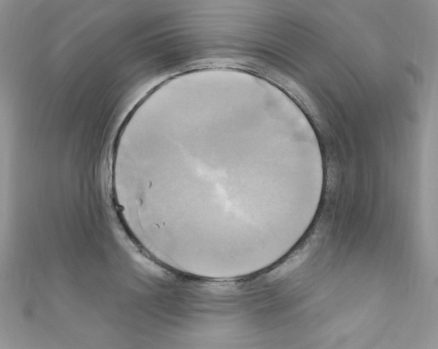 X0000110730844200907241226