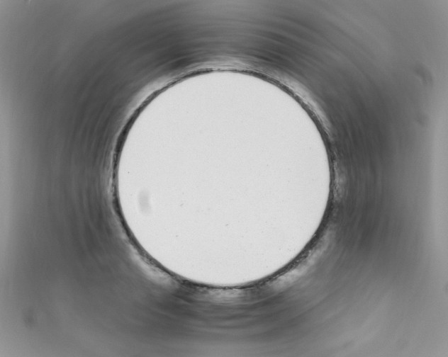 X0000110730845200907241226