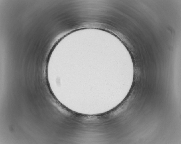 X0000110730846200907241226
