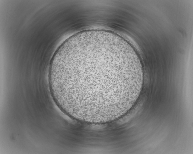 X0000110730847200907241226