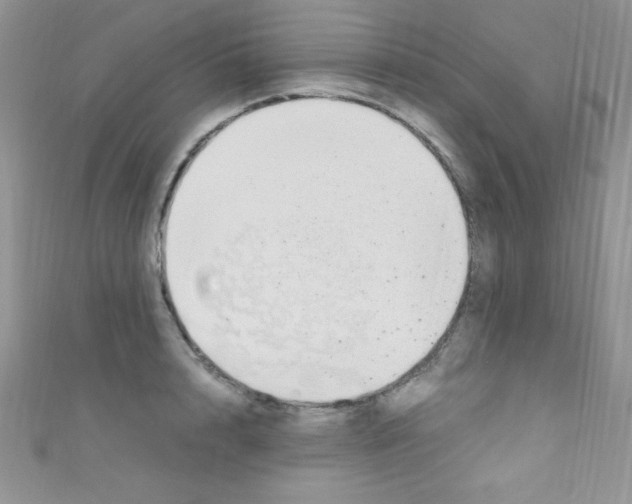 X0000110730848200907241226