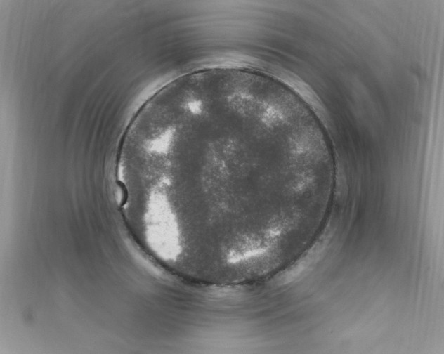 X0000110730850200907241226