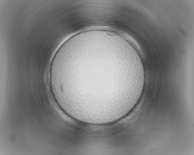 X0000110730852200907241226
