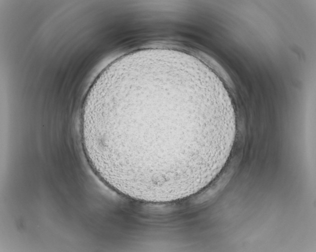 X0000110730855200907241226