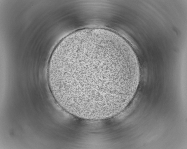 X0000110730856200907241226