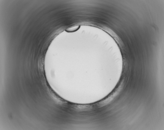 X0000110730857200907241226