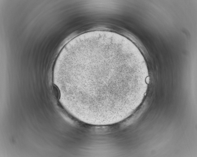X0000110730858200907241226