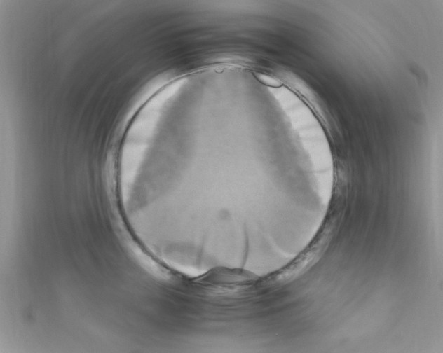 X0000110730859200907241226