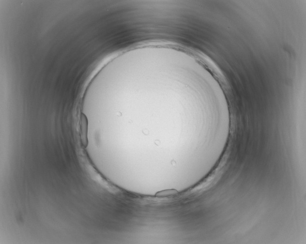 X0000110730860200907241226