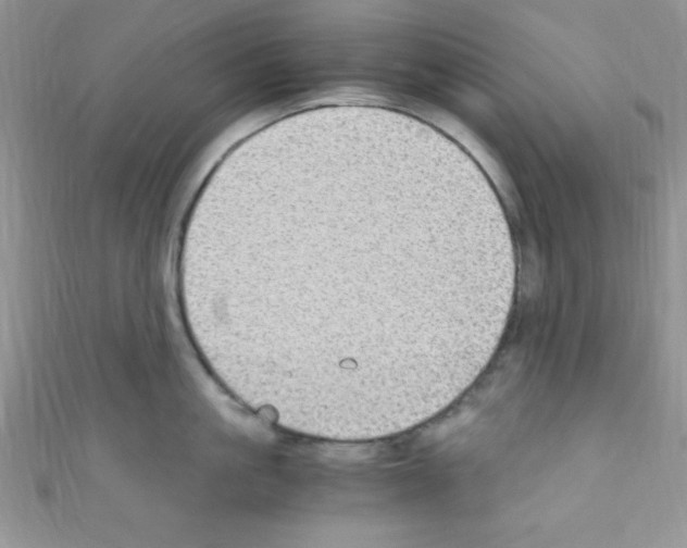 X0000110730861200907241226