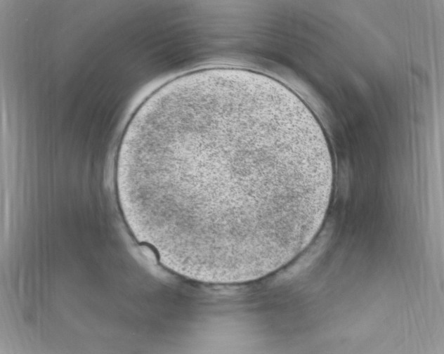 X0000110730862200907241226