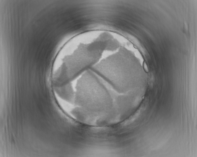 X0000110730863200907241226