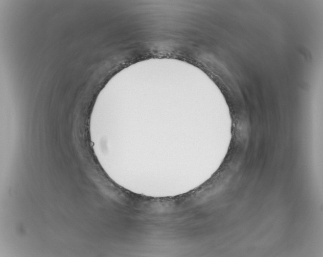 X0000110730865200907241225