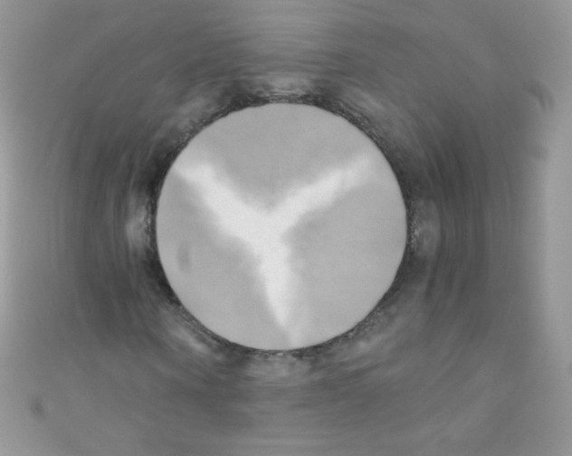 X0000110730866200907241225