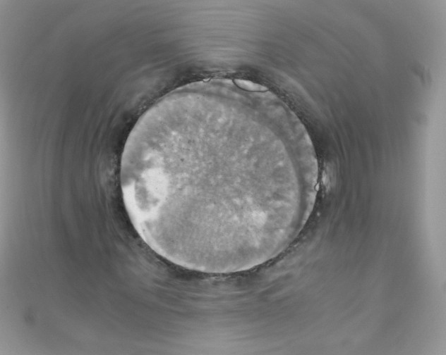 X0000110730867200907241225