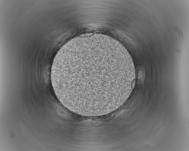 X0000110730868200907241225