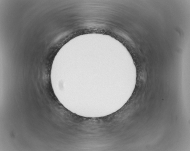 X0000110730869200907241225