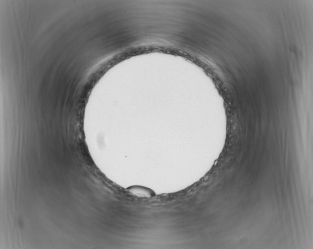 X0000110730872200907241225