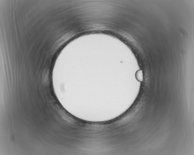 X0000110730873200907241225