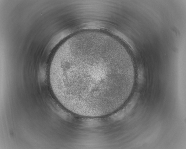 X0000110730874200907241225