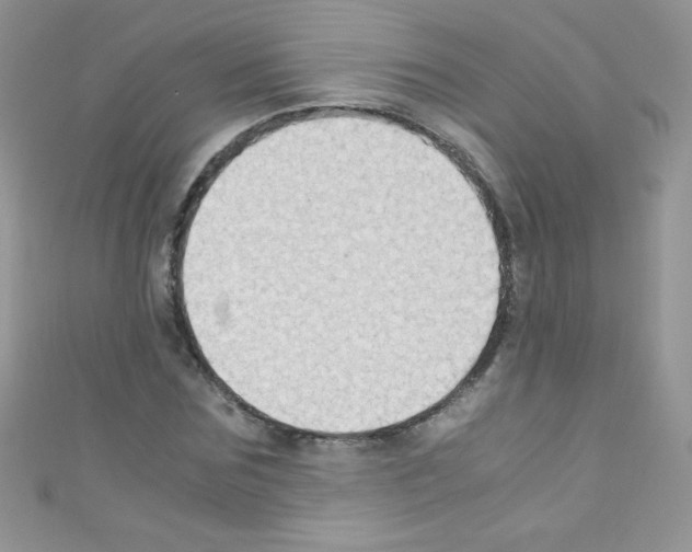 X0000110730875200907241225