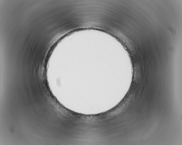 X0000110730876200907241225