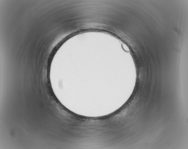 X0000110730877200907241225
