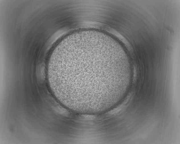 X0000110730878200907241225