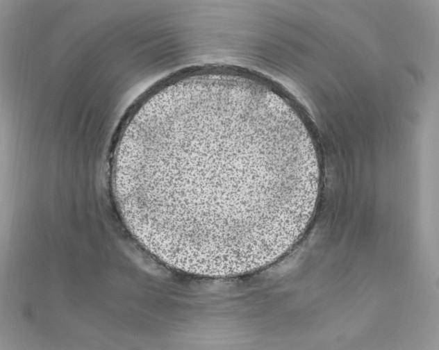 X0000110730879200907241225