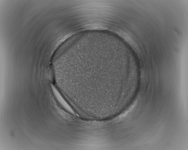 X0000110730881200907241225
