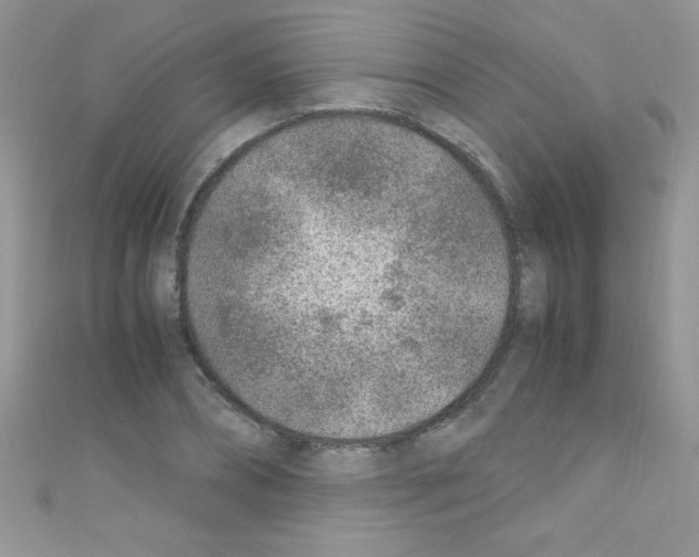 X0000110730882200907241225