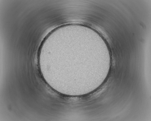 X0000110730883200907241225