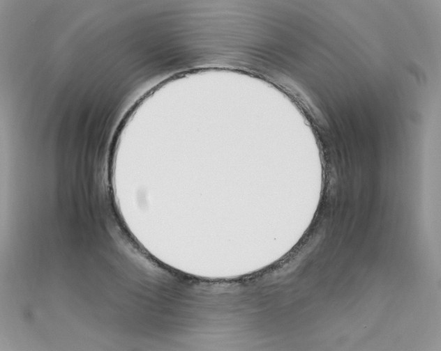X0000110730884200907241225