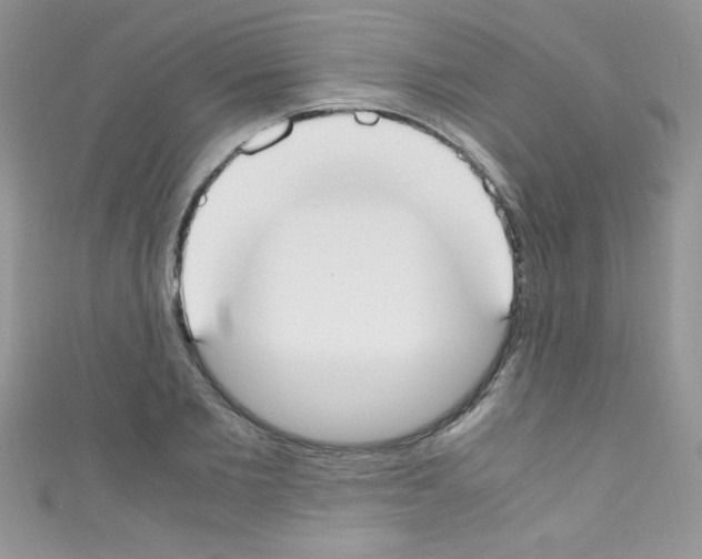 X0000110730885200907241225
