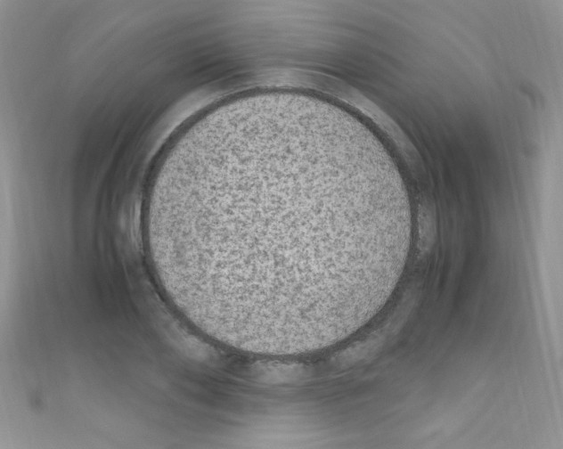 X0000110730886200907241225