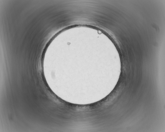 X0000110730887200907241225