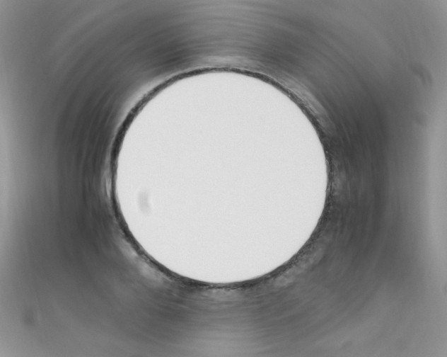 X0000110730888200907241225
